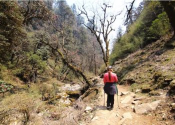 Tasmanian Travel: Guide to the Bay of Fires