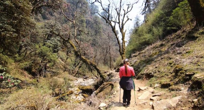 Tasmanian Travel: Guide to the Bay of Fires