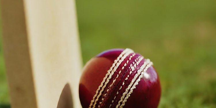 Economy Rate in Cricket | Reddy Anna Report