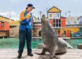 How to Score the Best Deals on Sea World Gold Coast Tickets