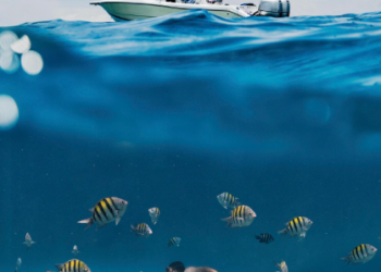 Deep Blue Dreams: The 5 Best Island Camps for Scuba Diving in Mozambique